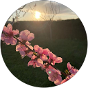 Larisa Maria profile picture